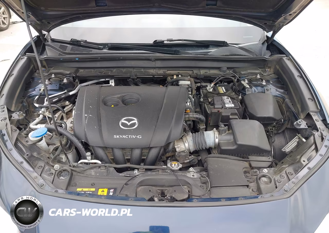 2020 Mazda Cx-30 Preferred Package VIN:3MVDMADL5LM131196 - 10