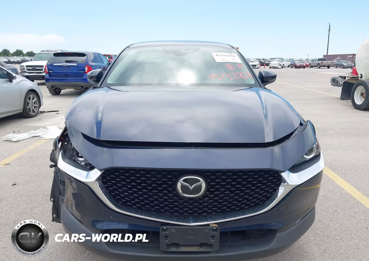 2020 Mazda Cx-30 Preferred Package VIN:3MVDMADL5LM131196 - 12