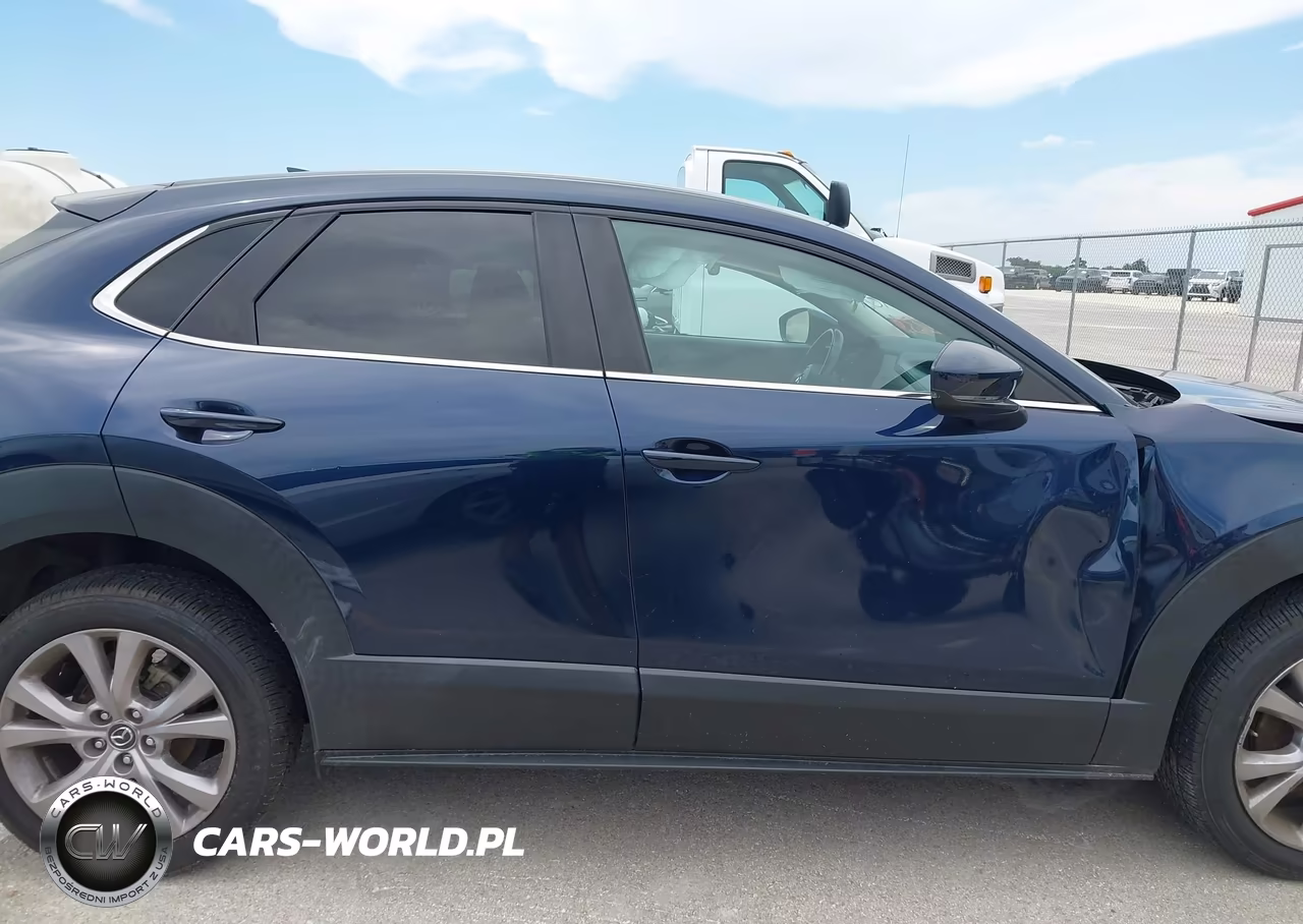 2020 Mazda Cx-30 Preferred Package VIN:3MVDMADL5LM131196 - 13