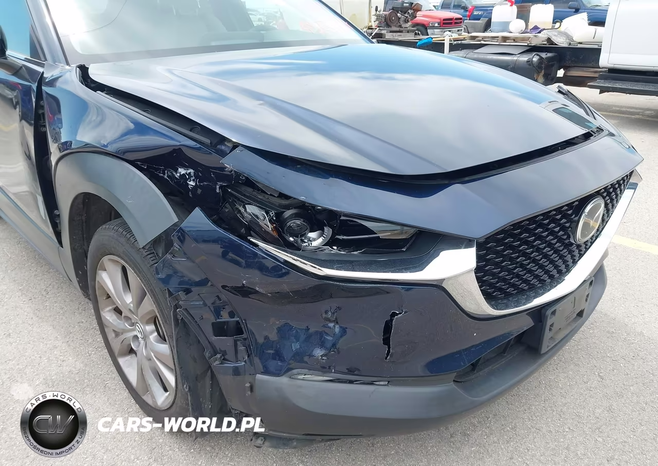2020 Mazda Cx-30 Preferred Package VIN:3MVDMADL5LM131196 - 17
