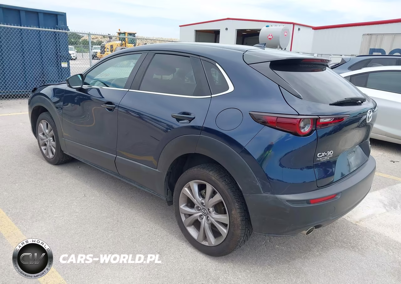 2020 Mazda Cx-30 Preferred Package VIN:3MVDMADL5LM131196 - 3