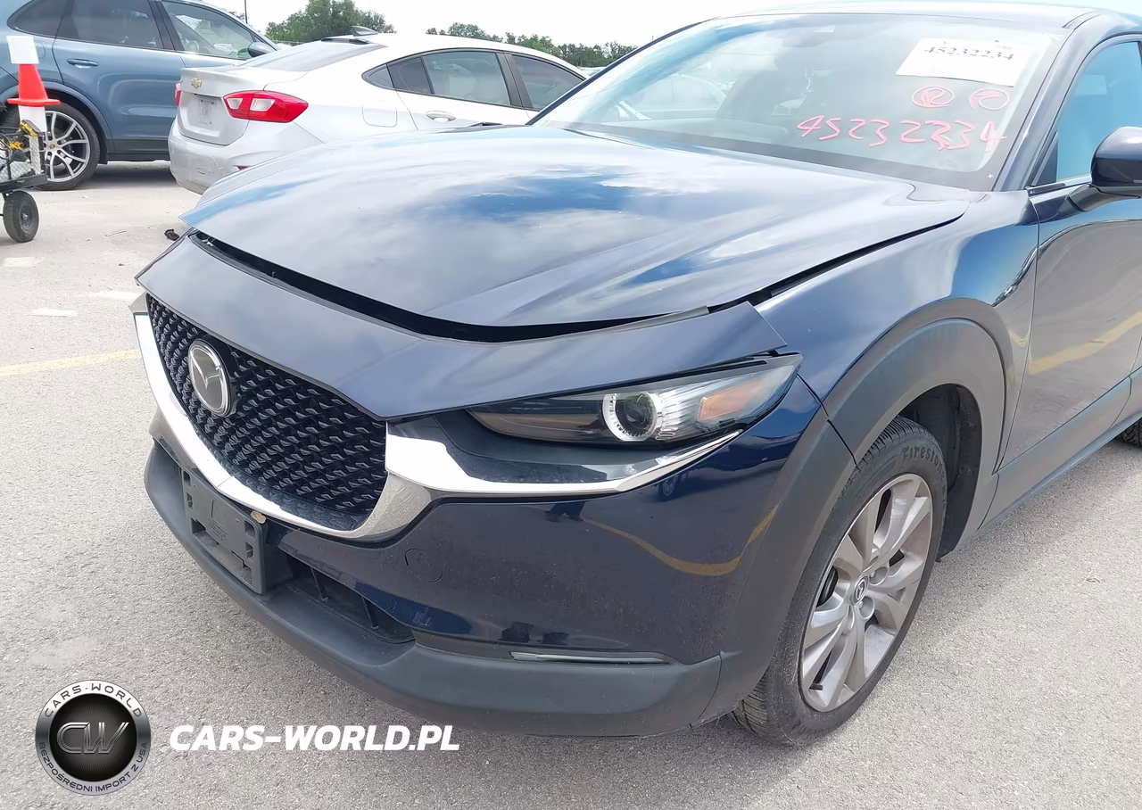 2020 Mazda Cx-30 Preferred Package VIN:3MVDMADL5LM131196 - 6