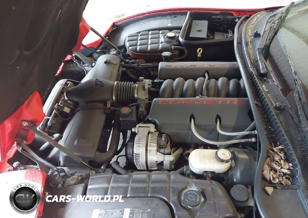 1997 Chevrolet Corvette VIN:1G1YY22G0V5102872 - 10