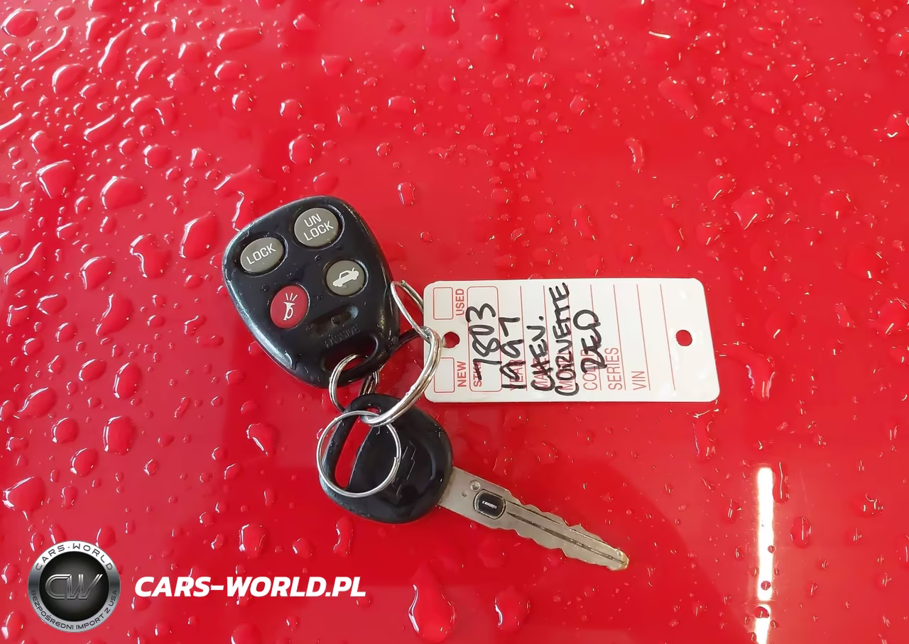 1997 Chevrolet Corvette VIN:1G1YY22G0V5102872 - 11