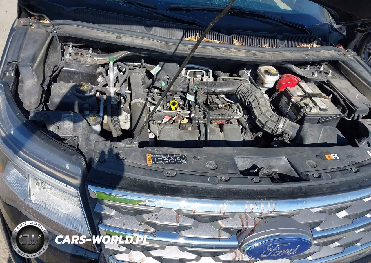 2019 Ford Explorer Xlt VIN:1FM5K8DH6KGA45920 - 10