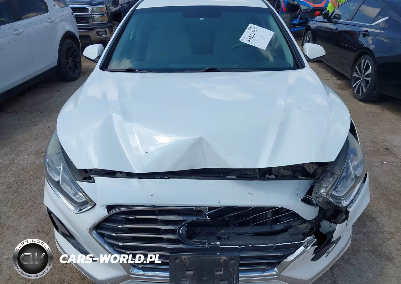 2019 Hyundai Sonata Se VIN:5NPE24AF0KH746190 - 12