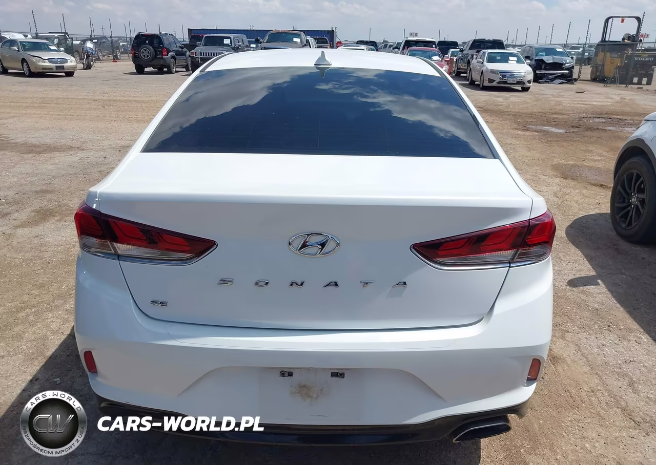 2019 Hyundai Sonata Se VIN:5NPE24AF0KH746190 - 16