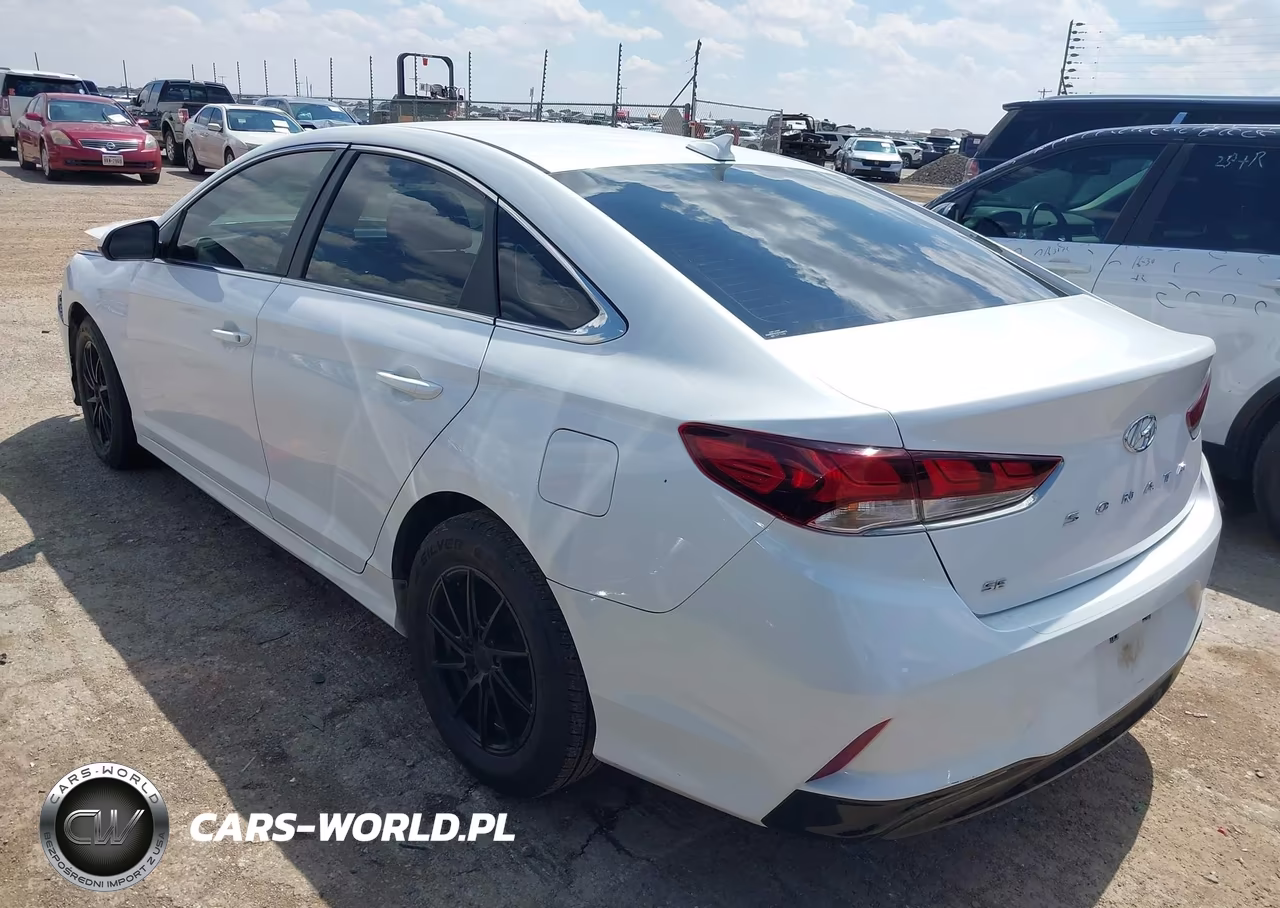 2019 Hyundai Sonata Se VIN:5NPE24AF0KH746190 - 3