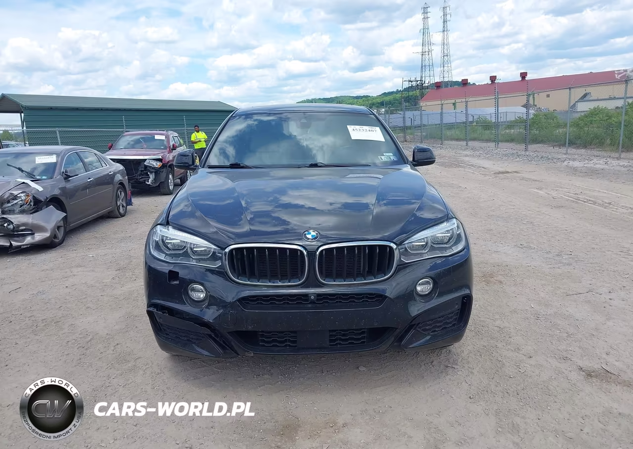 2017 BMW X6 xDrive35I VIN:5UXKU2C32H0X47415 - 12