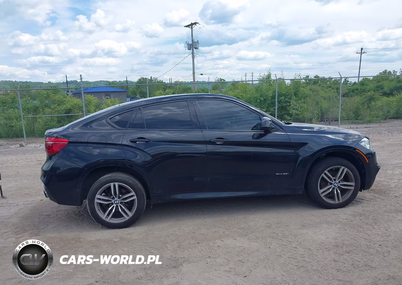 2017 BMW X6 xDrive35I VIN:5UXKU2C32H0X47415 - 13