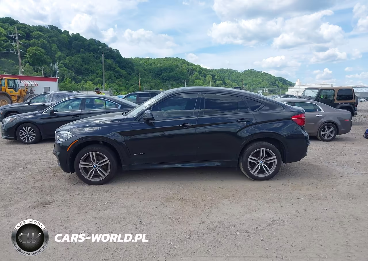 2017 BMW X6 xDrive35I VIN:5UXKU2C32H0X47415 - 14