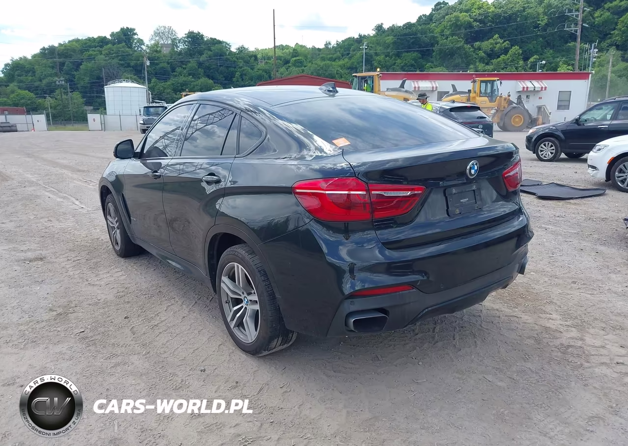 2017 BMW X6 xDrive35I VIN:5UXKU2C32H0X47415 - 3