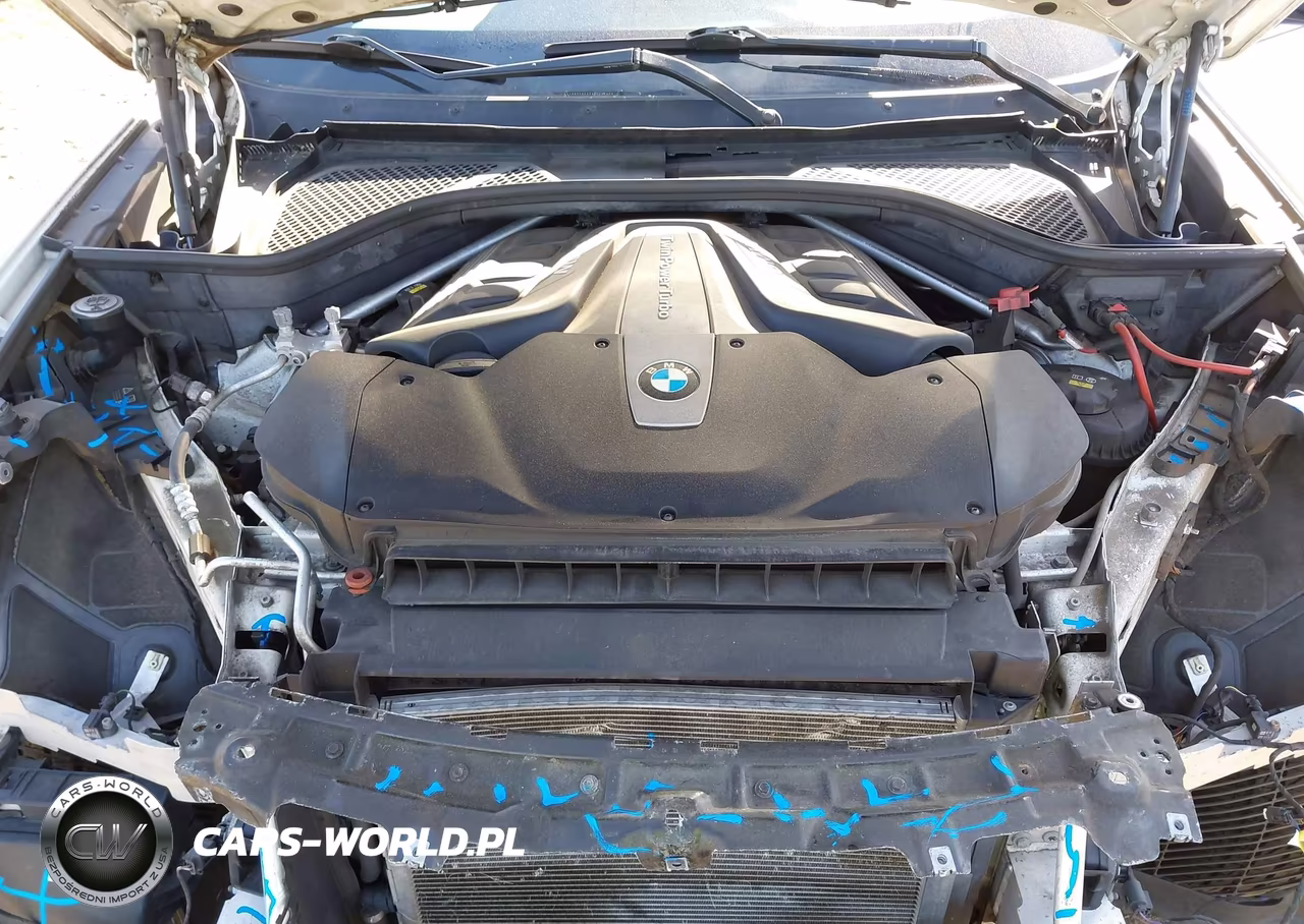 2017 BMW X6 xDrive50I VIN:5UXKU6C35H0W38423 - 10