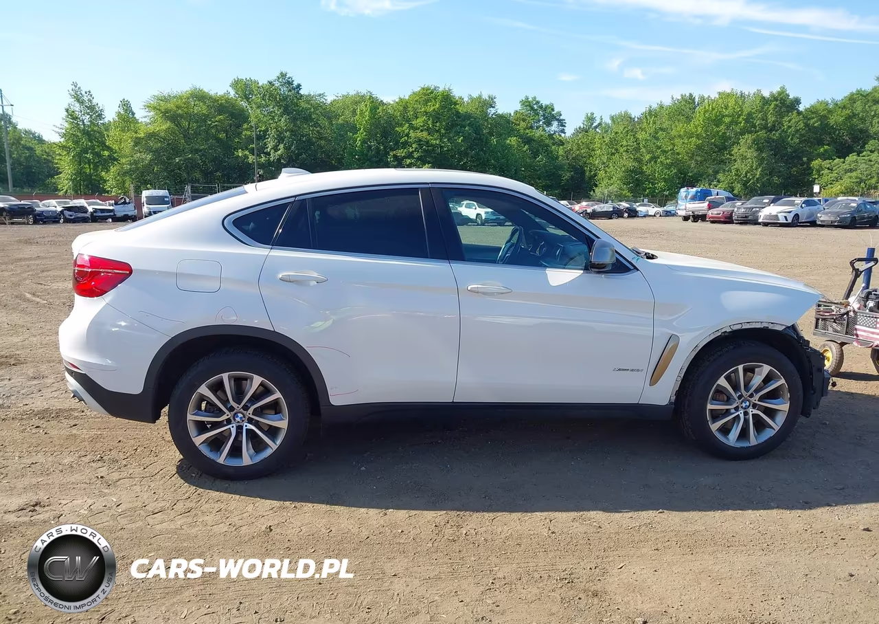 2017 BMW X6 xDrive50I VIN:5UXKU6C35H0W38423 - 13