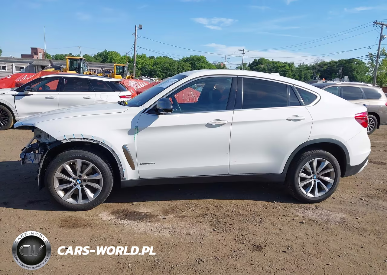 2017 BMW X6 xDrive50I VIN:5UXKU6C35H0W38423 - 14