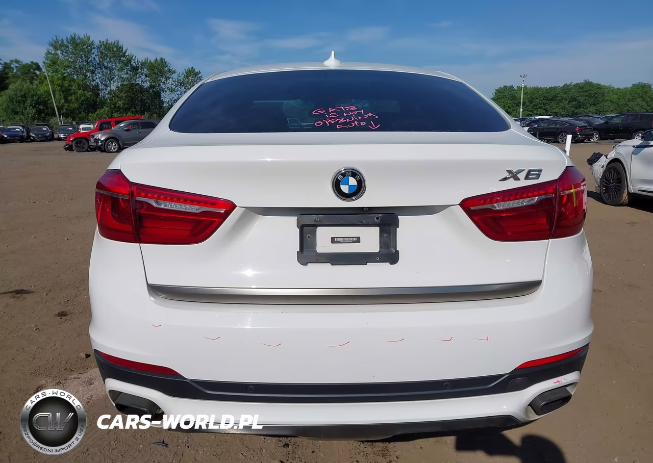 2017 BMW X6 xDrive50I VIN:5UXKU6C35H0W38423 - 16