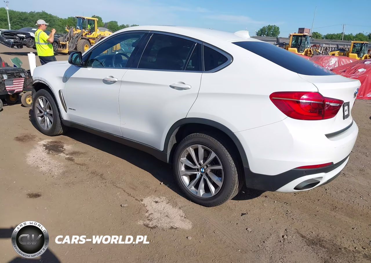 2017 BMW X6 xDrive50I VIN:5UXKU6C35H0W38423 - 3