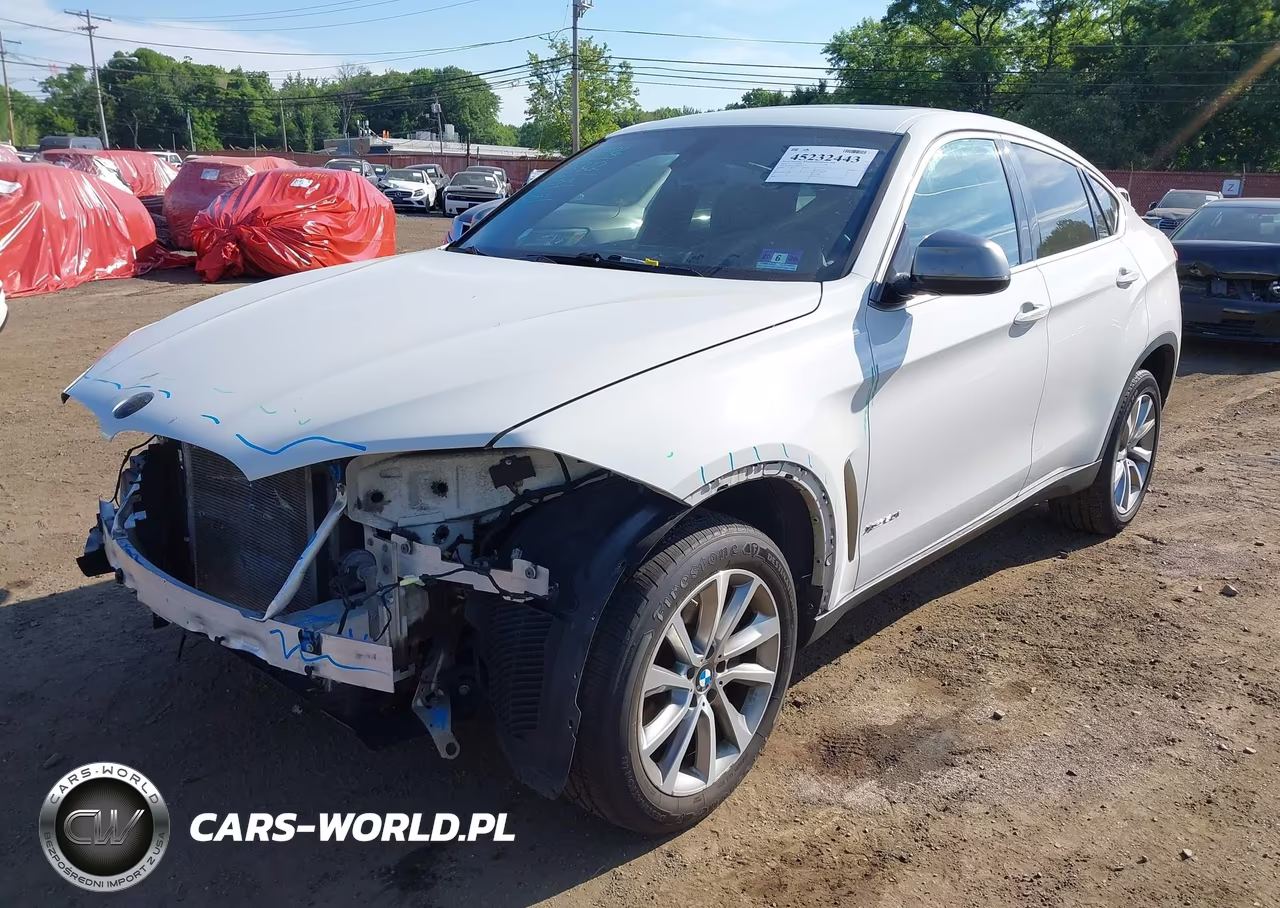 2017 BMW X6 xDrive50I VIN:5UXKU6C35H0W38423 - 6