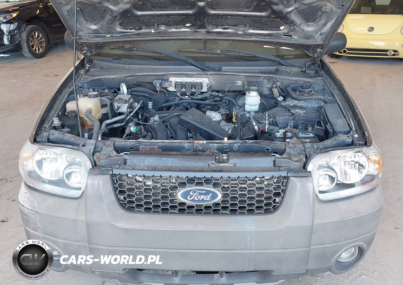2006 Ford Escape Xlt-Xlt Sport VIN:1FMYU03146KA17503 - 10
