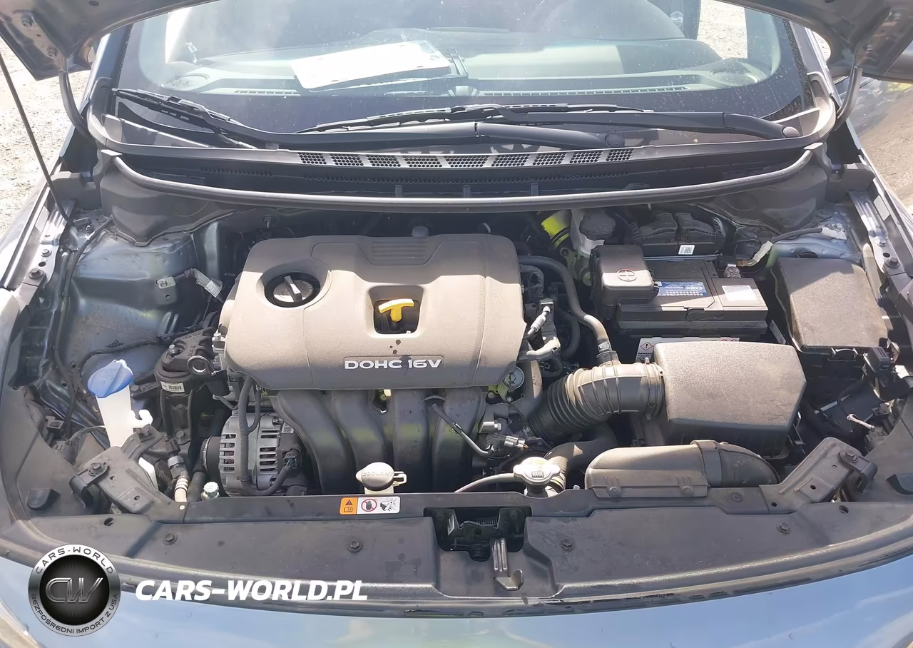 2017 Kia Forte S VIN:3KPFL4A7XHE143707 - 10