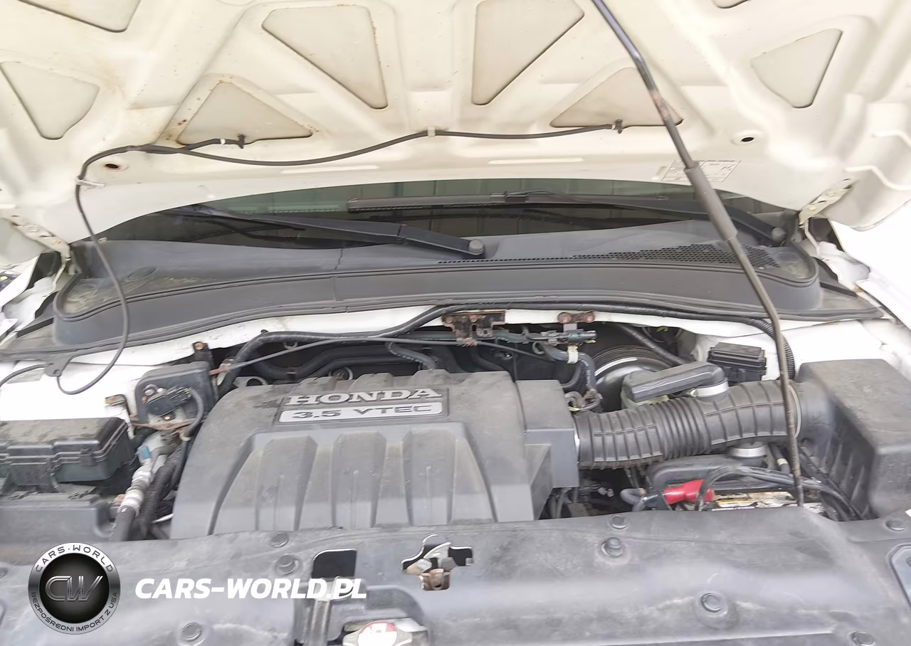 2005 Honda Pilot Ex-L VIN:5FNYF18625B035003 - 10