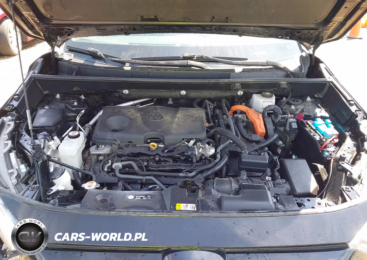2024 Toyota Rav4 Hybrid Woodland Edition VIN:2T3UWRFV6RW221540 - 10