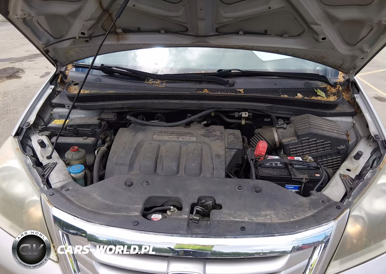 2009 Honda Odyssey Ex VIN:5FNRL38479B051016 - 10