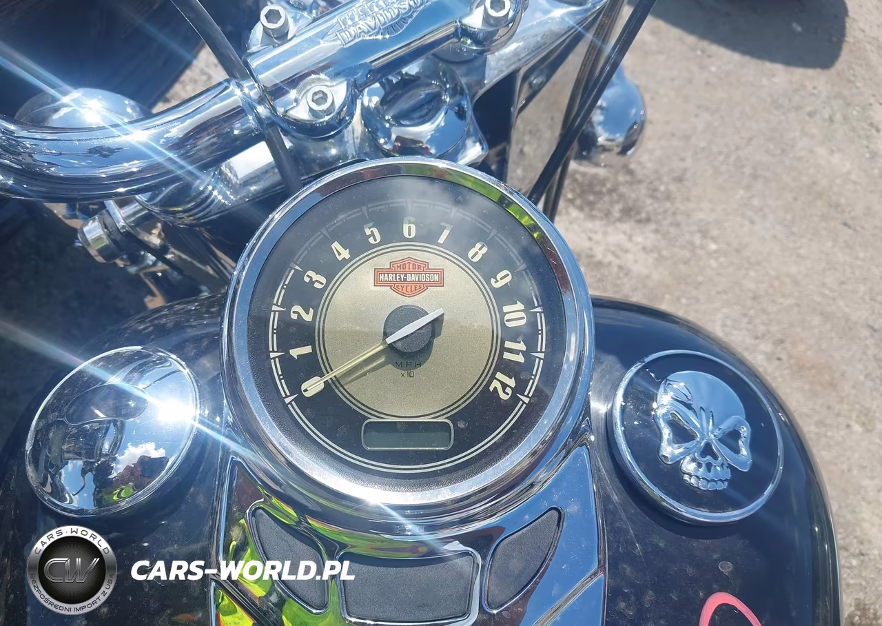 2015 Harley-Davidson Flstc Heritage Softail Classic VIN:1HD1BWV1XFB014633 - 7