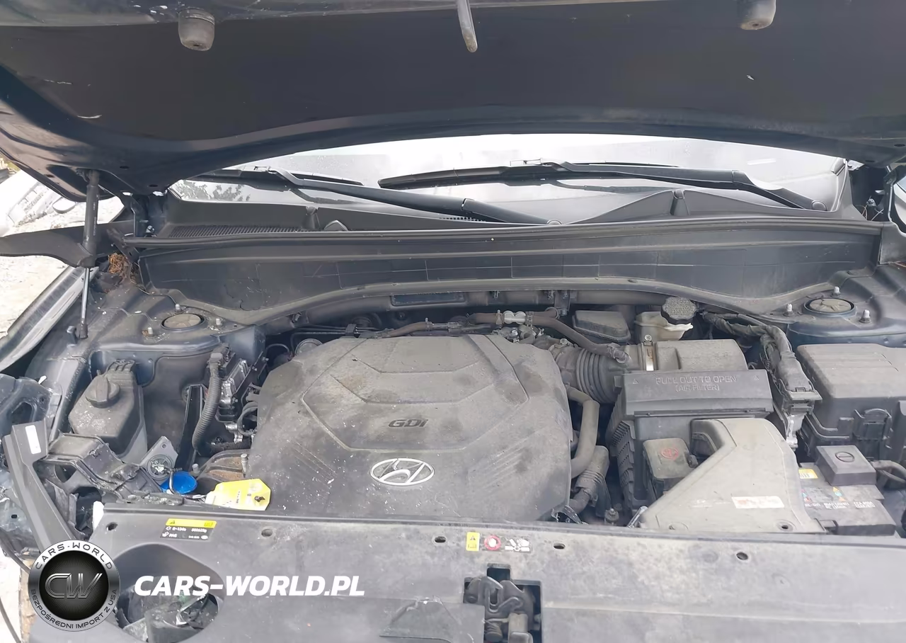 2020 Hyundai Palisade Sel VIN:KM8R3DHE3LU060062 - 10
