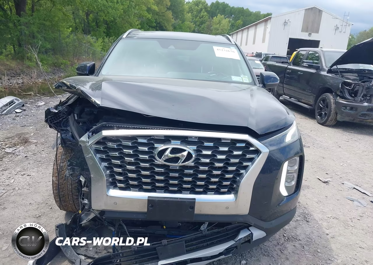 2020 Hyundai Palisade Sel VIN:KM8R3DHE3LU060062 - 12