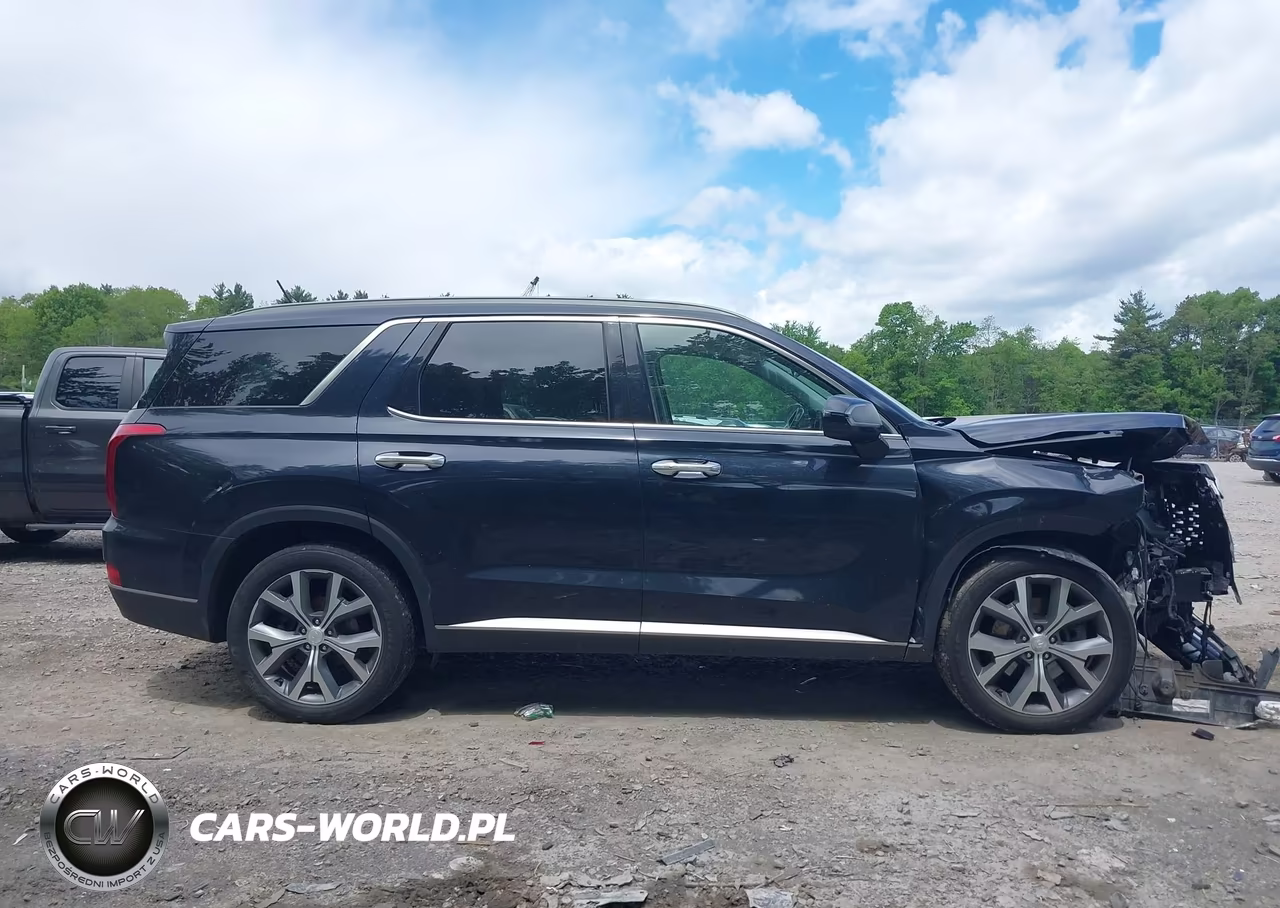 2020 Hyundai Palisade Sel VIN:KM8R3DHE3LU060062 - 13