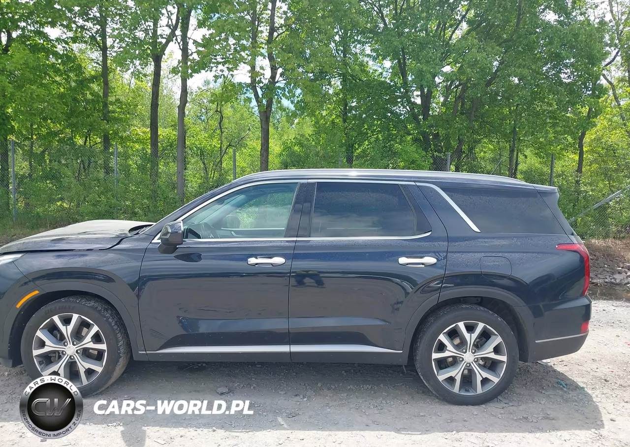 2020 Hyundai Palisade Sel VIN:KM8R3DHE3LU060062 - 14