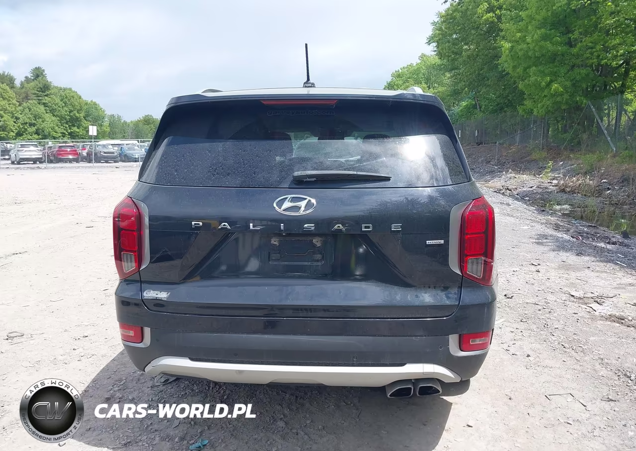 2020 Hyundai Palisade Sel VIN:KM8R3DHE3LU060062 - 16