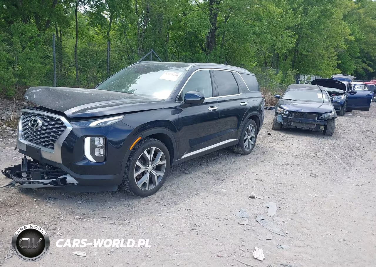 2020 Hyundai Palisade Sel VIN:KM8R3DHE3LU060062 - 2