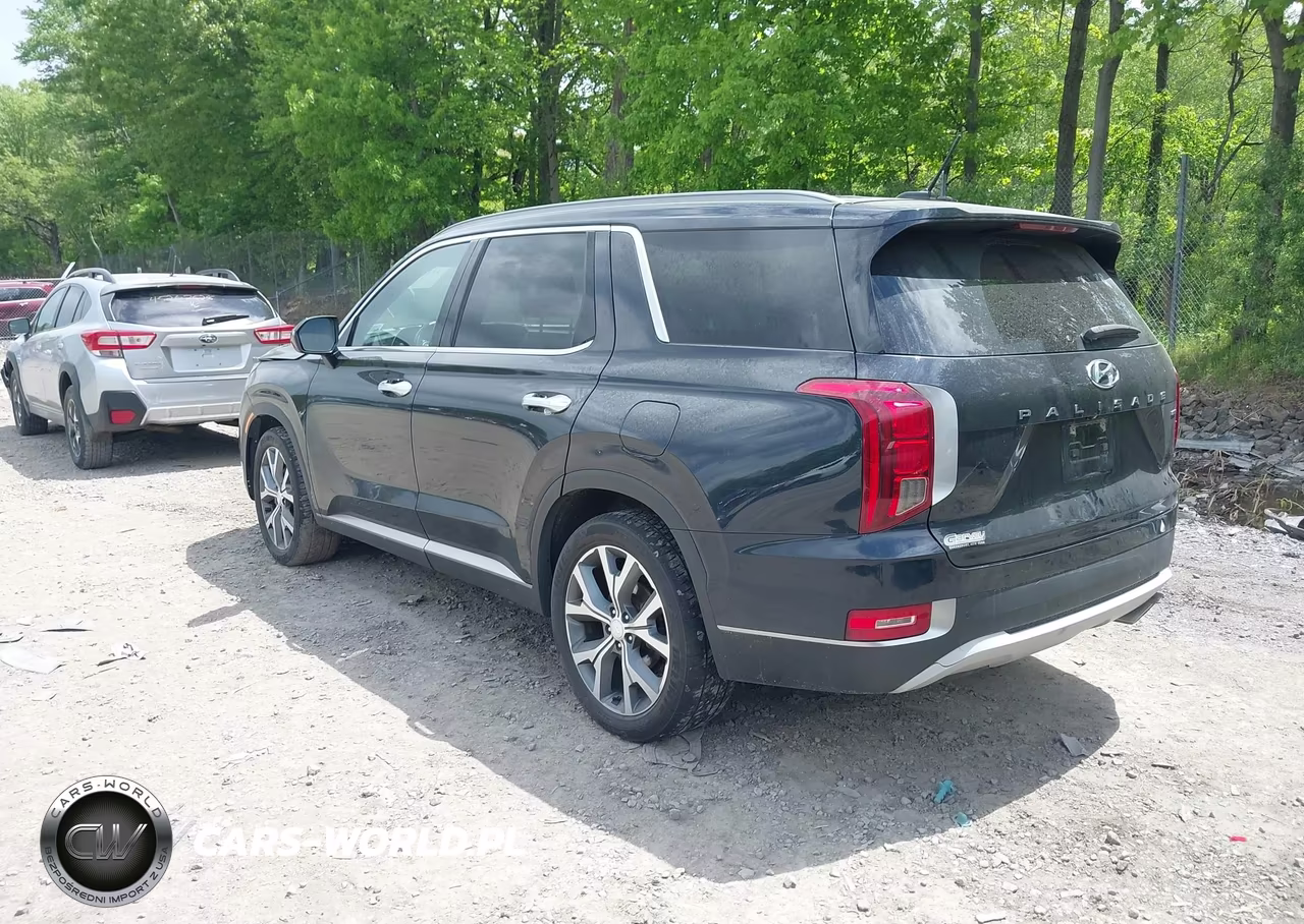 2020 Hyundai Palisade Sel VIN:KM8R3DHE3LU060062 - 3