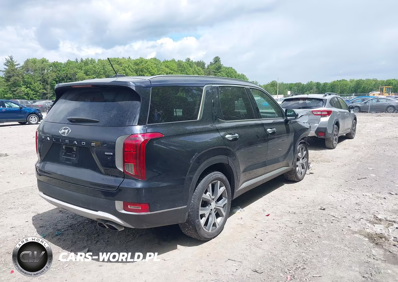 2020 Hyundai Palisade Sel VIN:KM8R3DHE3LU060062 - 4