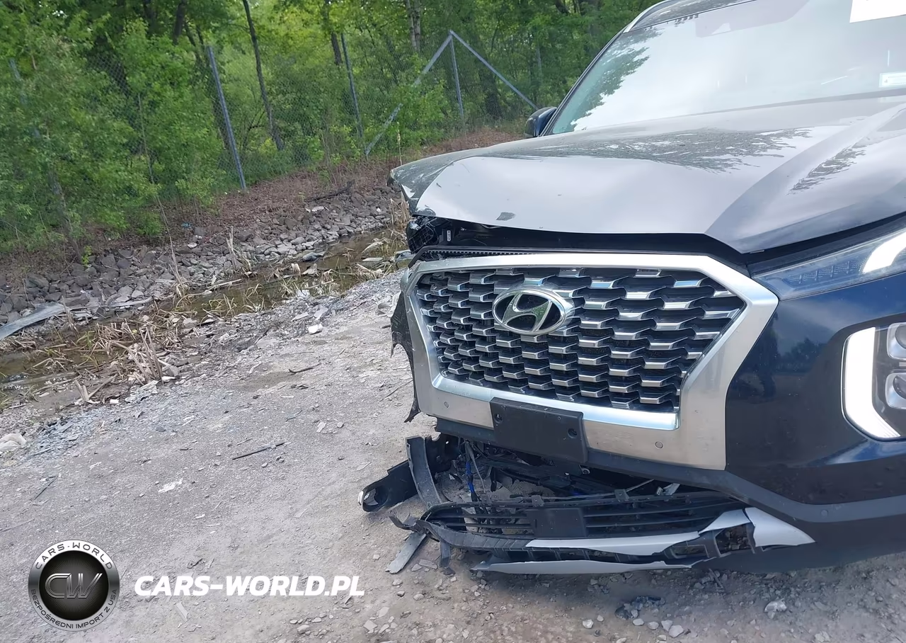 2020 Hyundai Palisade Sel VIN:KM8R3DHE3LU060062 - 6