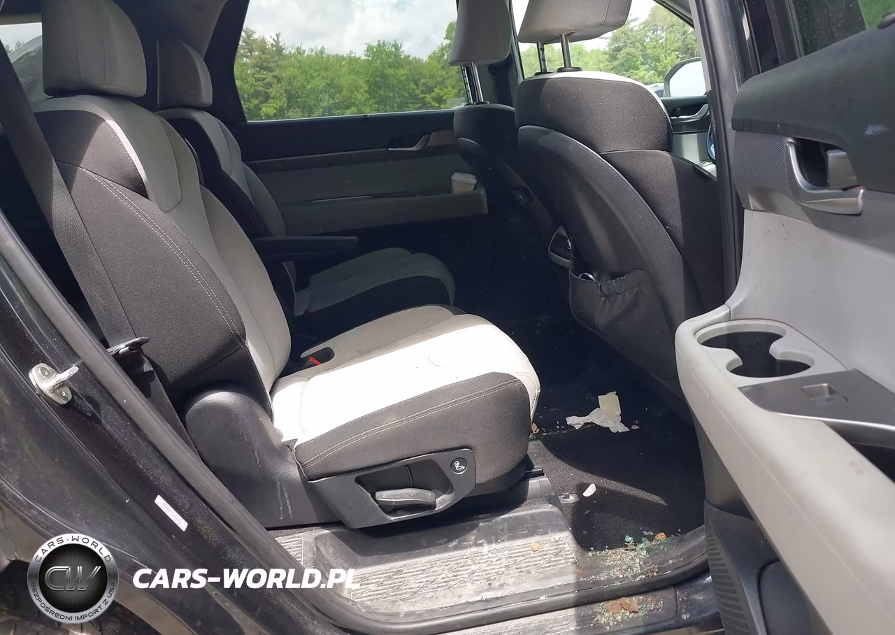 2020 Hyundai Palisade Sel VIN:KM8R3DHE3LU060062 - 8