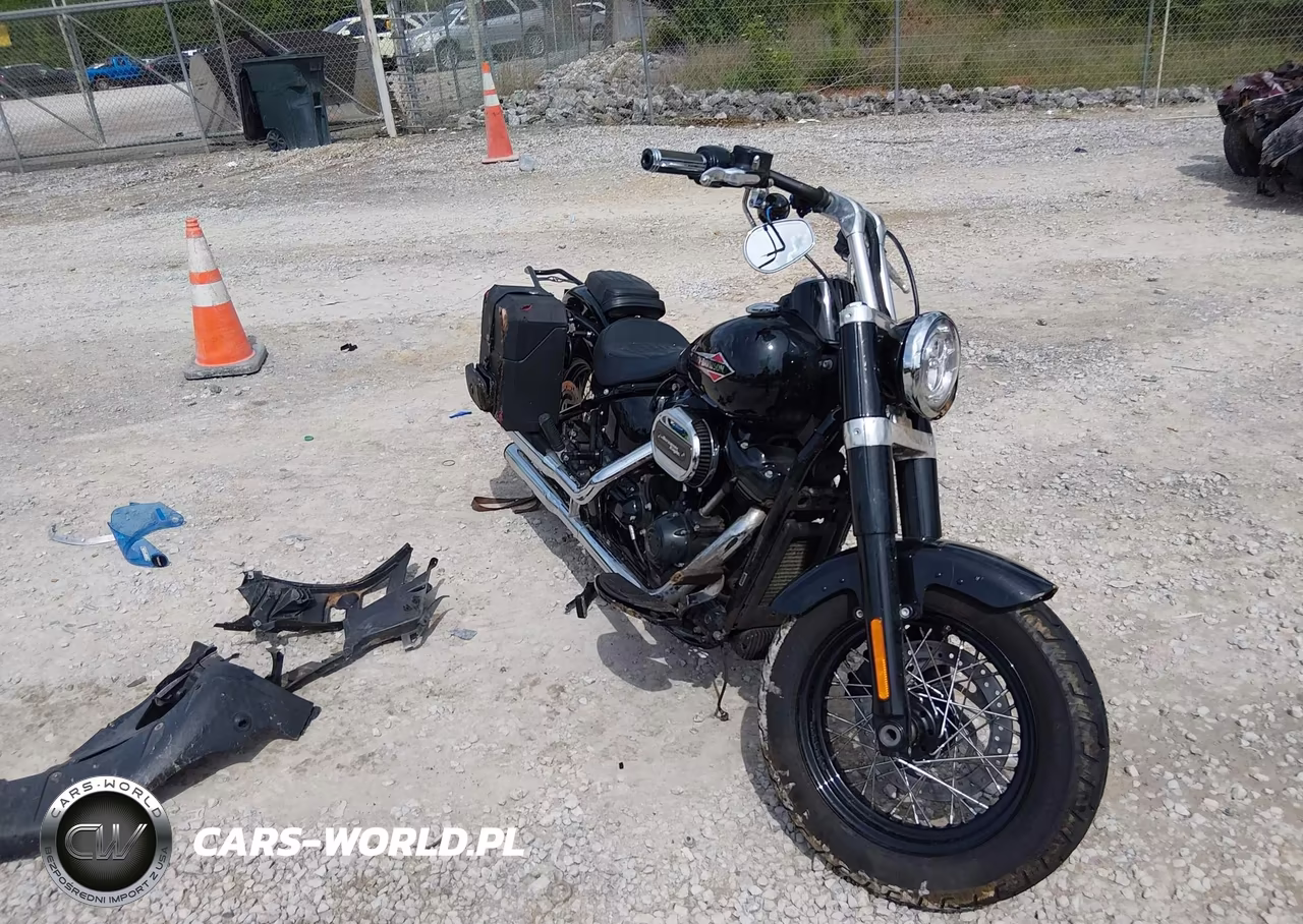 2021 Harley-Davidson Flsl – zdjęcie 1 z 13