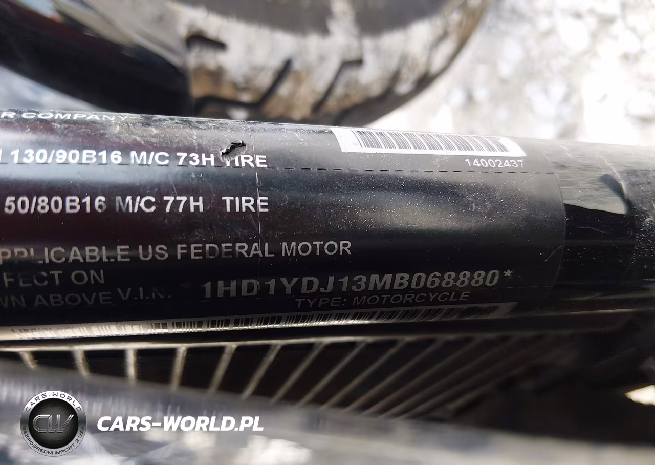 2021 Harley-Davidson Flsl VIN:1HD1YDJ13MB068880 - 10
