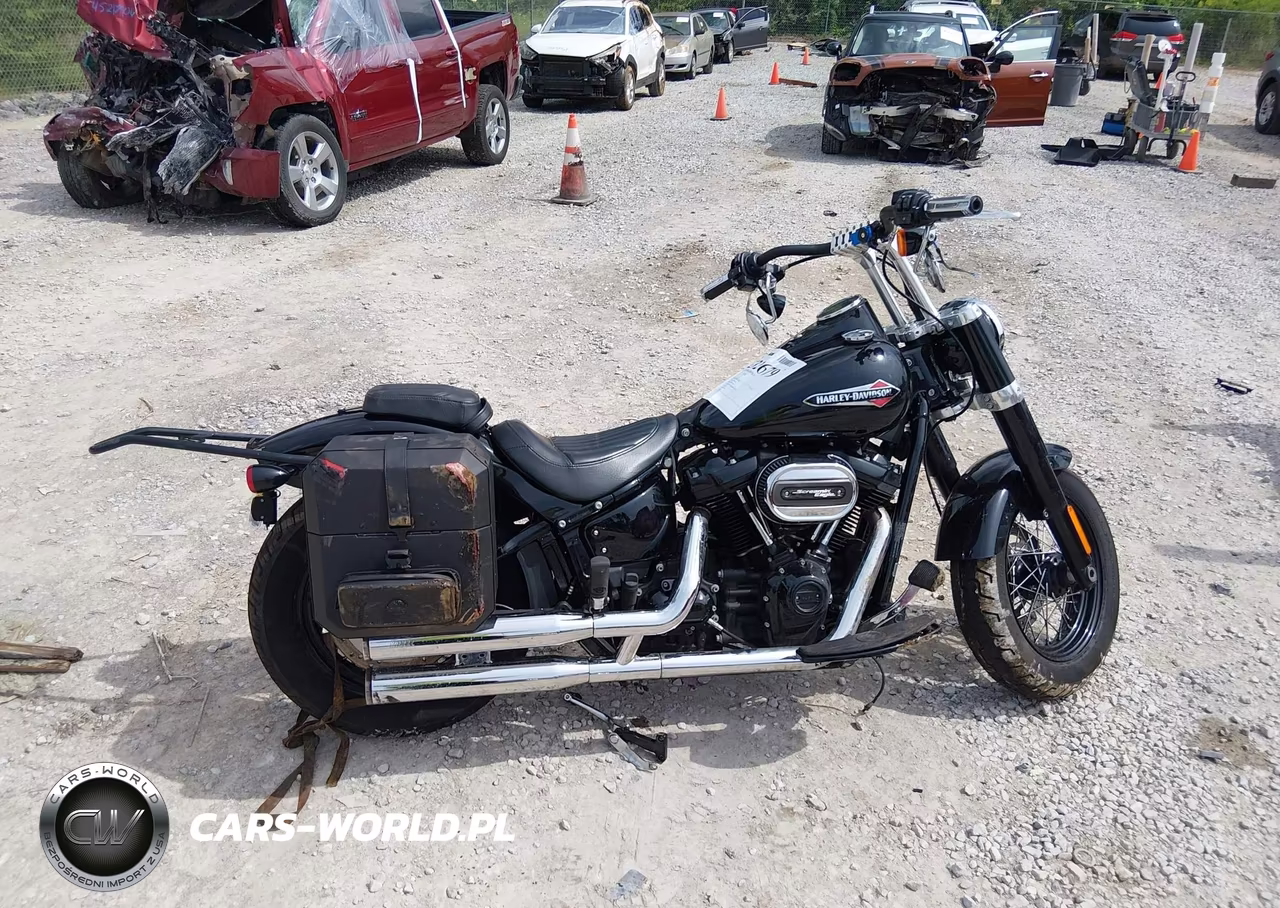 2021 Harley-Davidson Flsl VIN:1HD1YDJ13MB068880 - 12