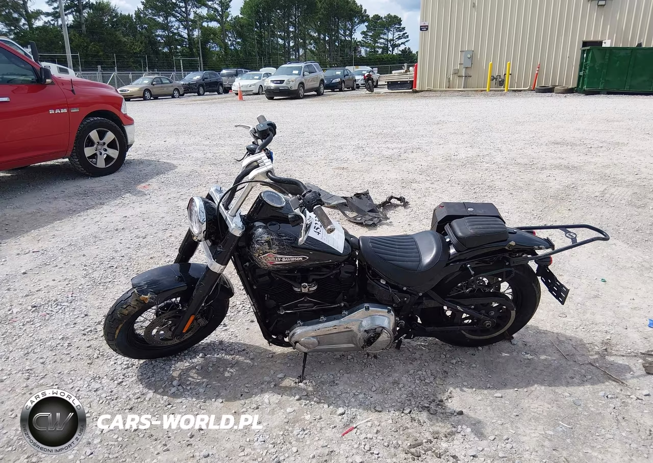 2021 Harley-Davidson Flsl VIN:1HD1YDJ13MB068880 - 13