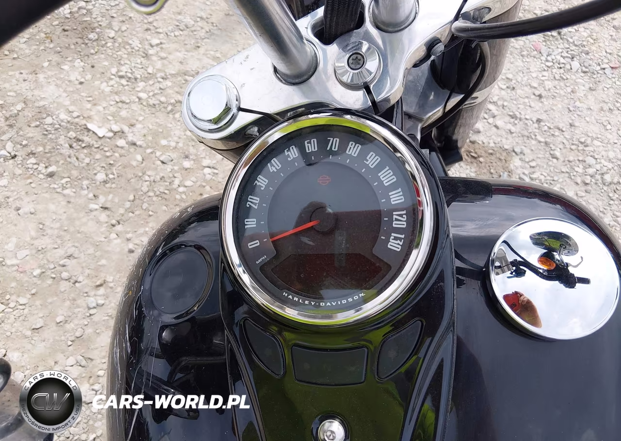 2021 Harley-Davidson Flsl VIN:1HD1YDJ13MB068880 - 7