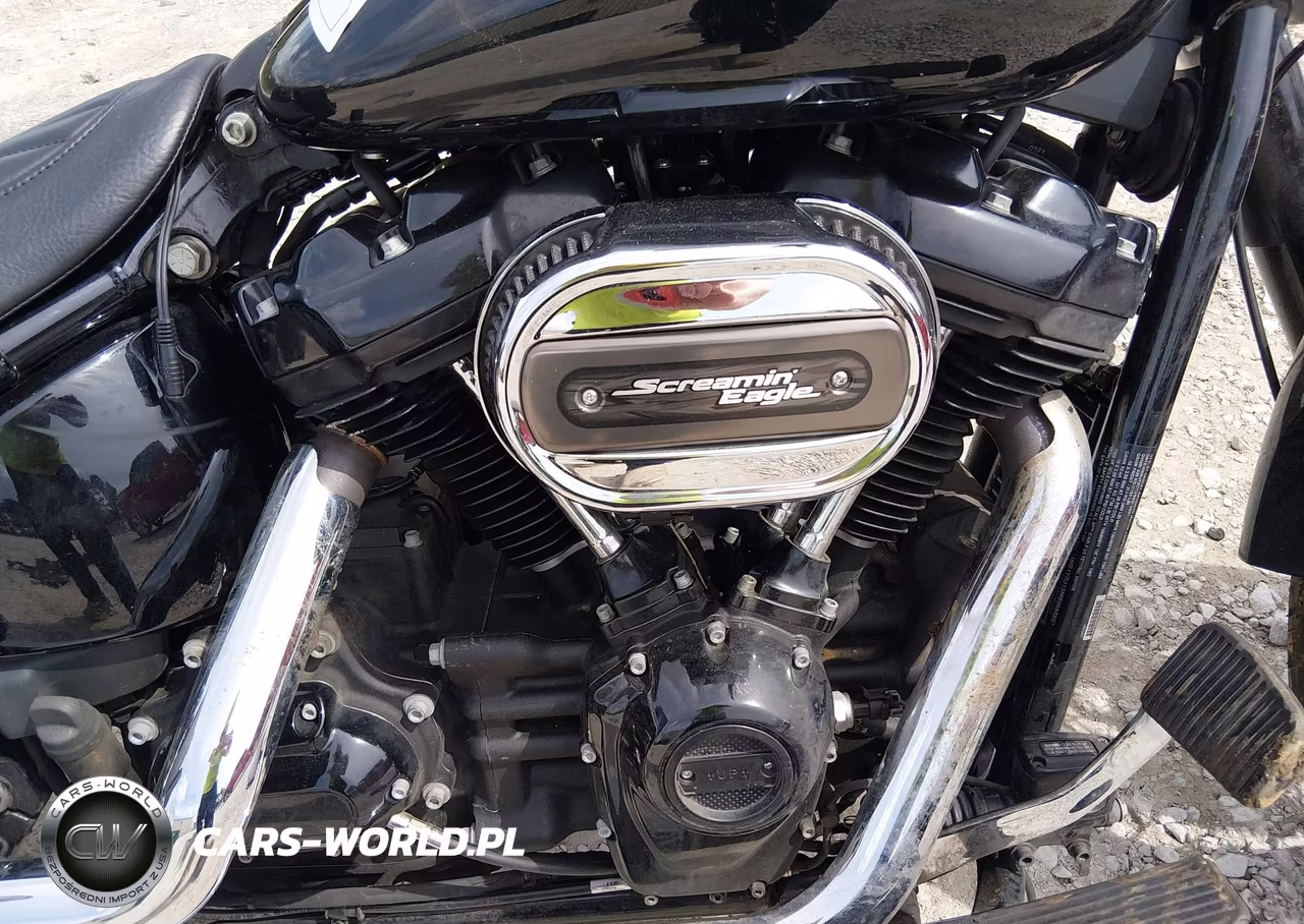 2021 Harley-Davidson Flsl VIN:1HD1YDJ13MB068880 - 8
