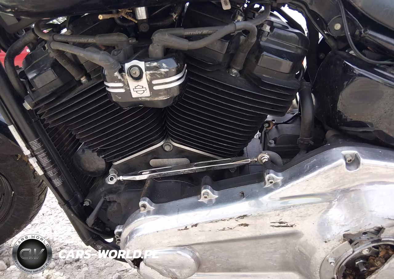 2021 Harley-Davidson Flsl VIN:1HD1YDJ13MB068880 - 9