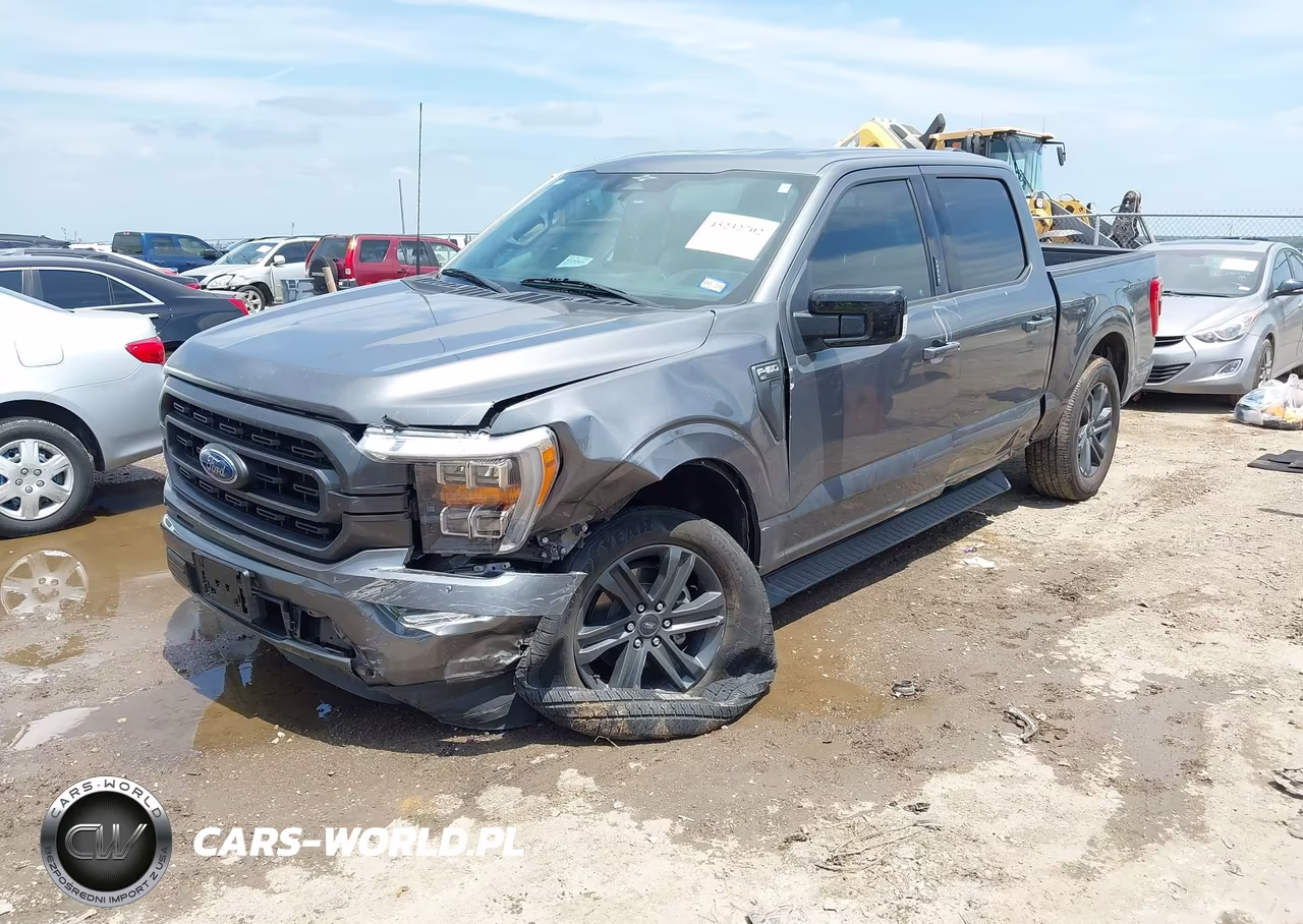 2023 Ford F-150 Xlt VIN:1FTEW1CP3PKF35177 - 2