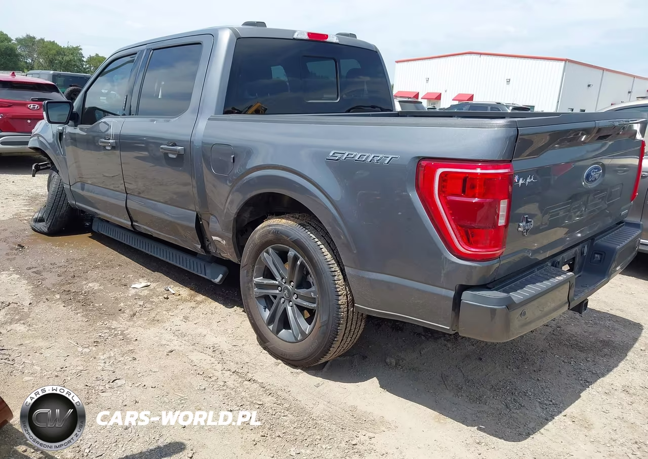 2023 Ford F-150 Xlt VIN:1FTEW1CP3PKF35177 - 3