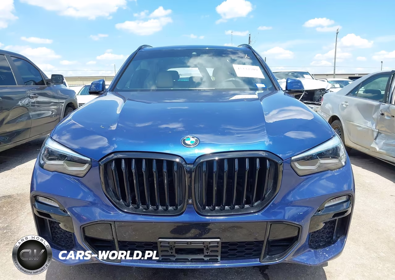 2021 BMW X5 Sdrive40I VIN:5UXCR4C08M9E00963 - 12
