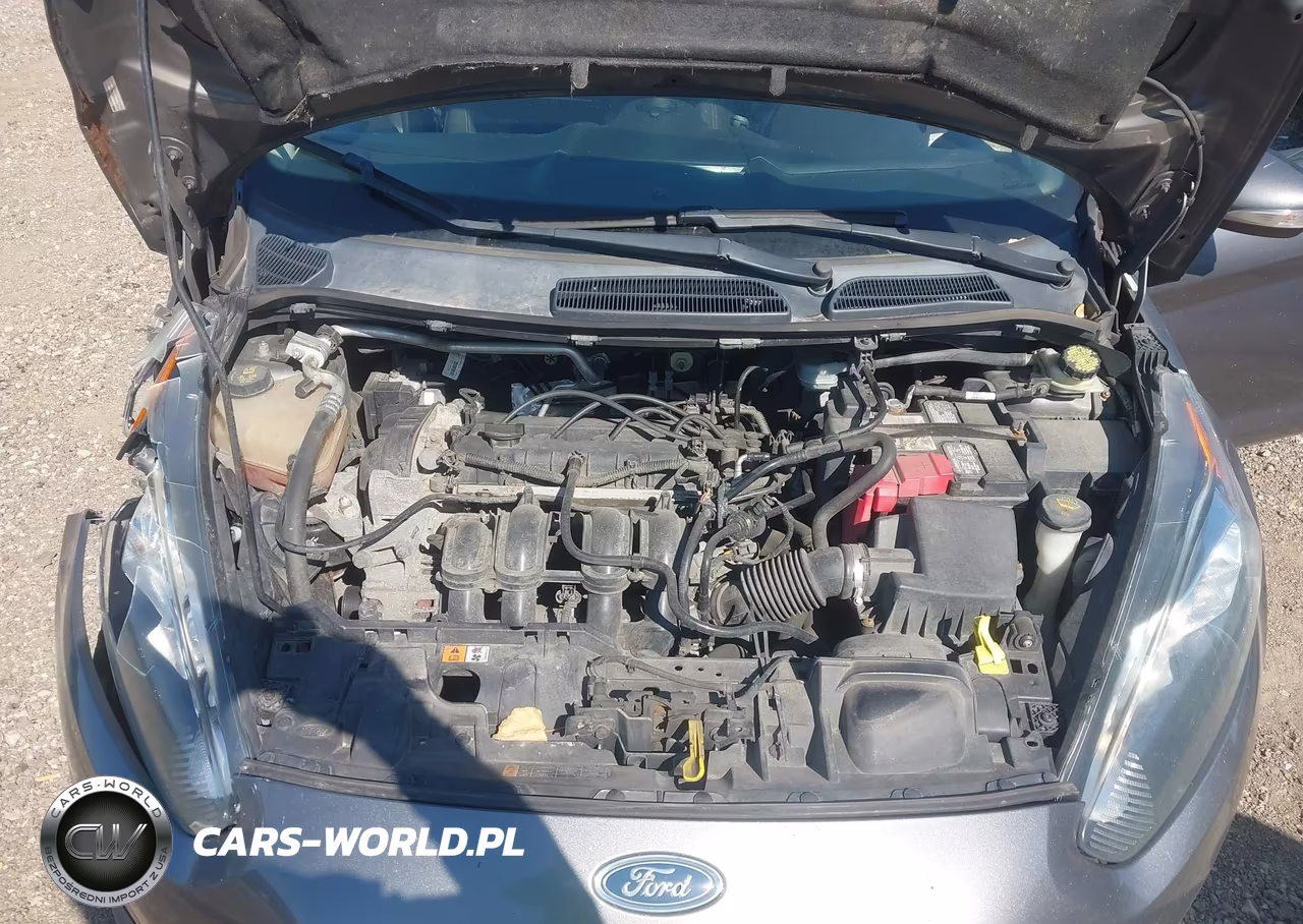 2014 Ford Fiesta Se VIN:3FADP4EJ5EM145731 - 10