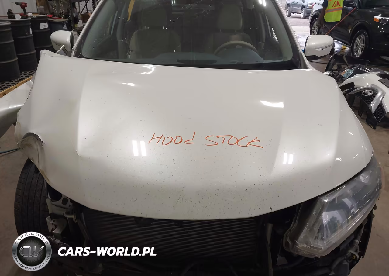 2015 Nissan Rogue Sv VIN:KNMAT2MV2FP539913 - 10